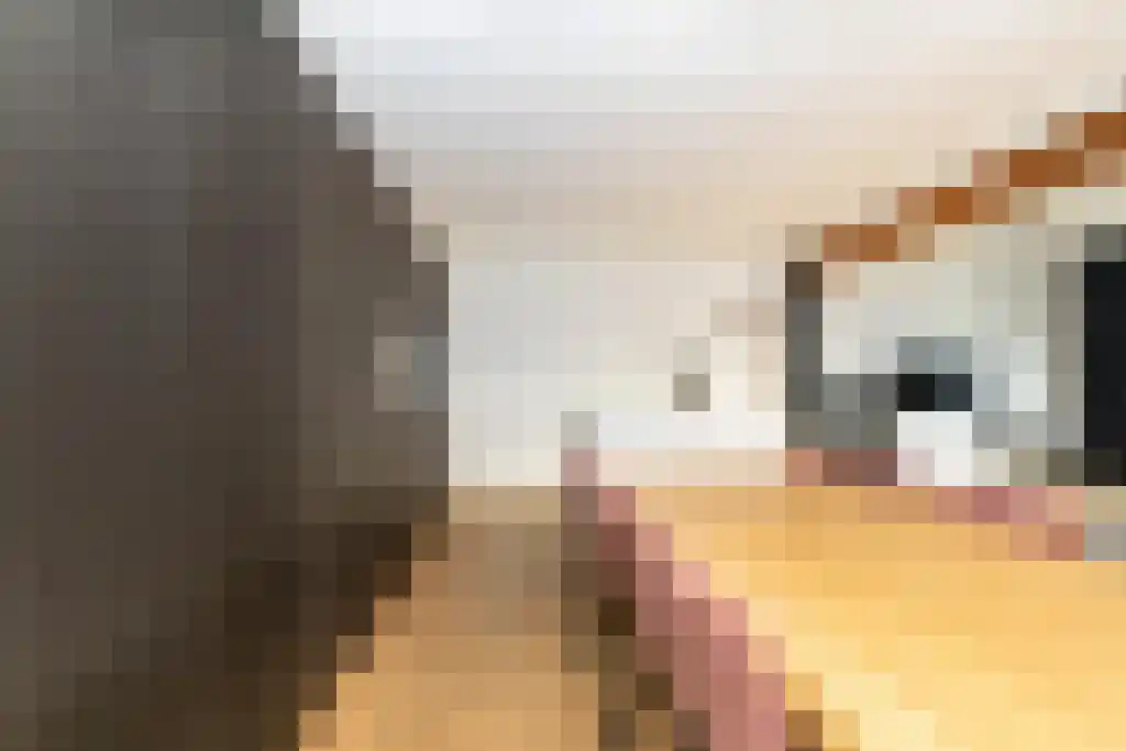 Stationsweg 31 a Geertruidenberg thumbnail 17