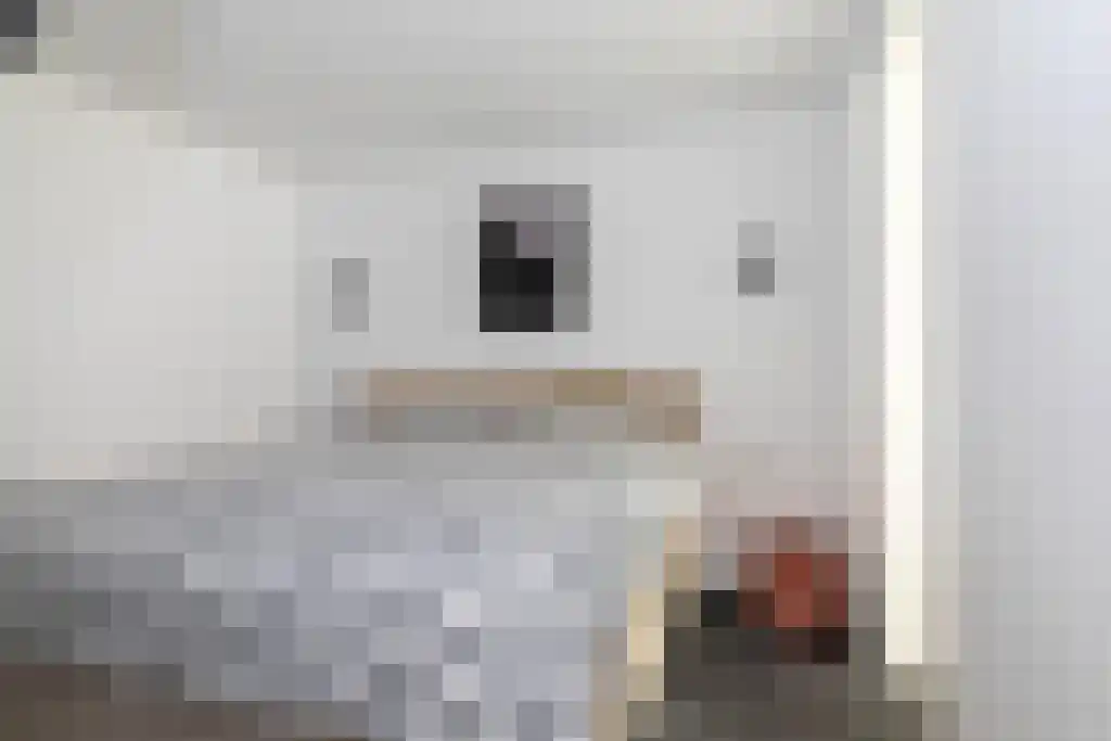 Stationsweg 31 a Geertruidenberg thumbnail 28