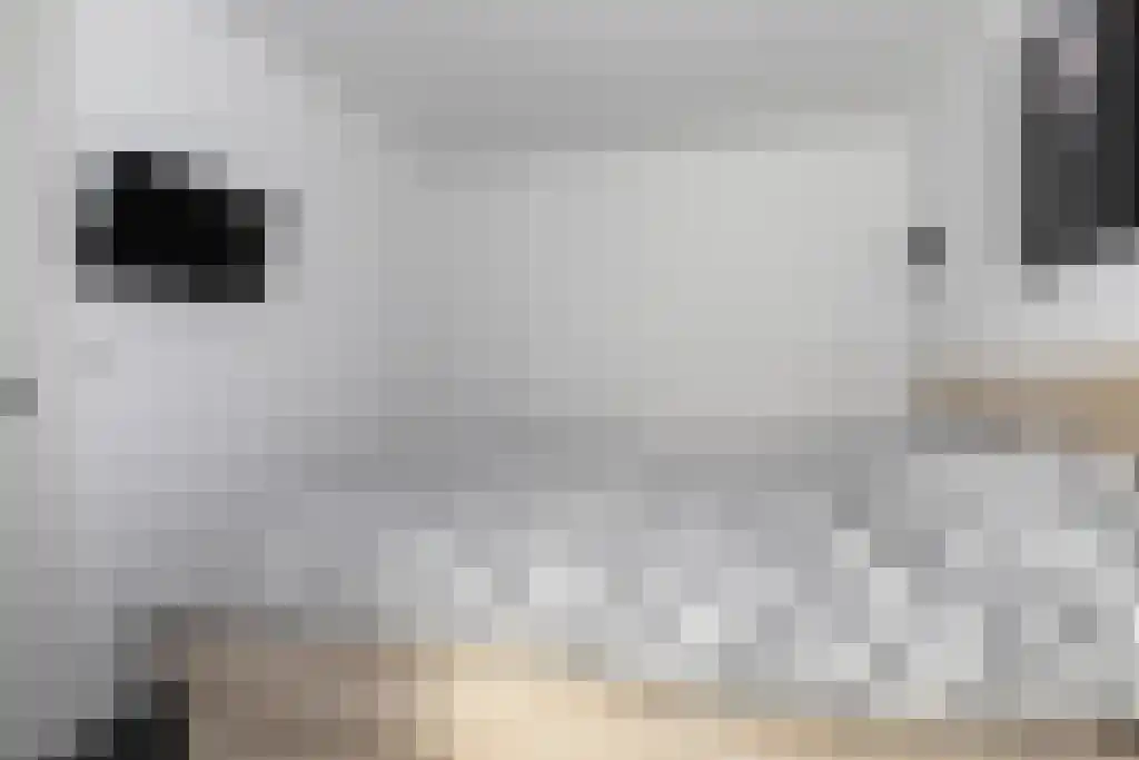 Stationsweg 31 a Geertruidenberg thumbnail 29