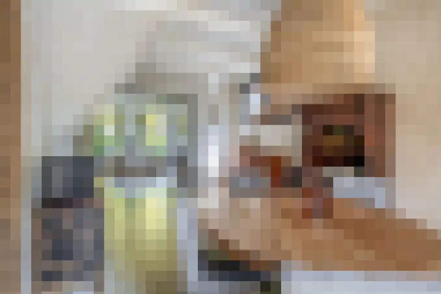 Stationsweg 31 Dirksland thumbnail 12