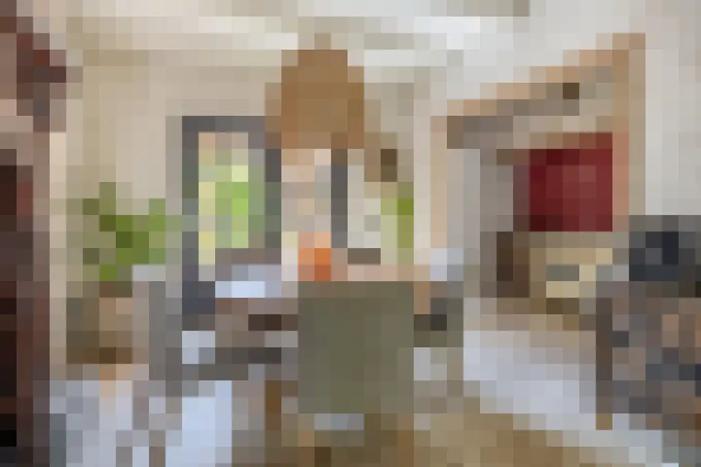 Stationsweg 31 Dirksland thumbnail 13