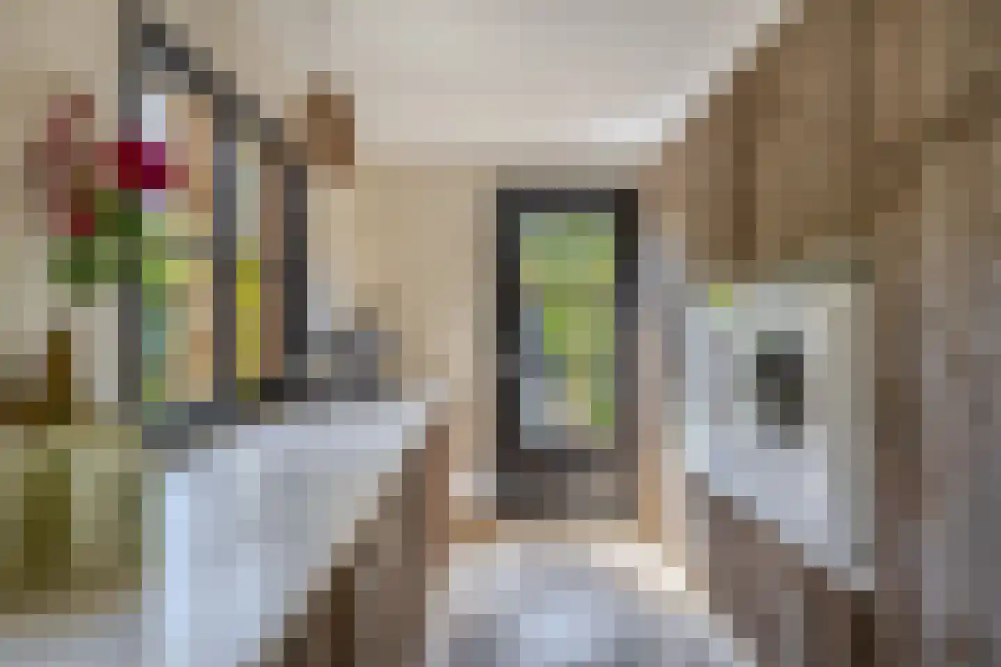 Stationsweg 31 Dirksland thumbnail 18