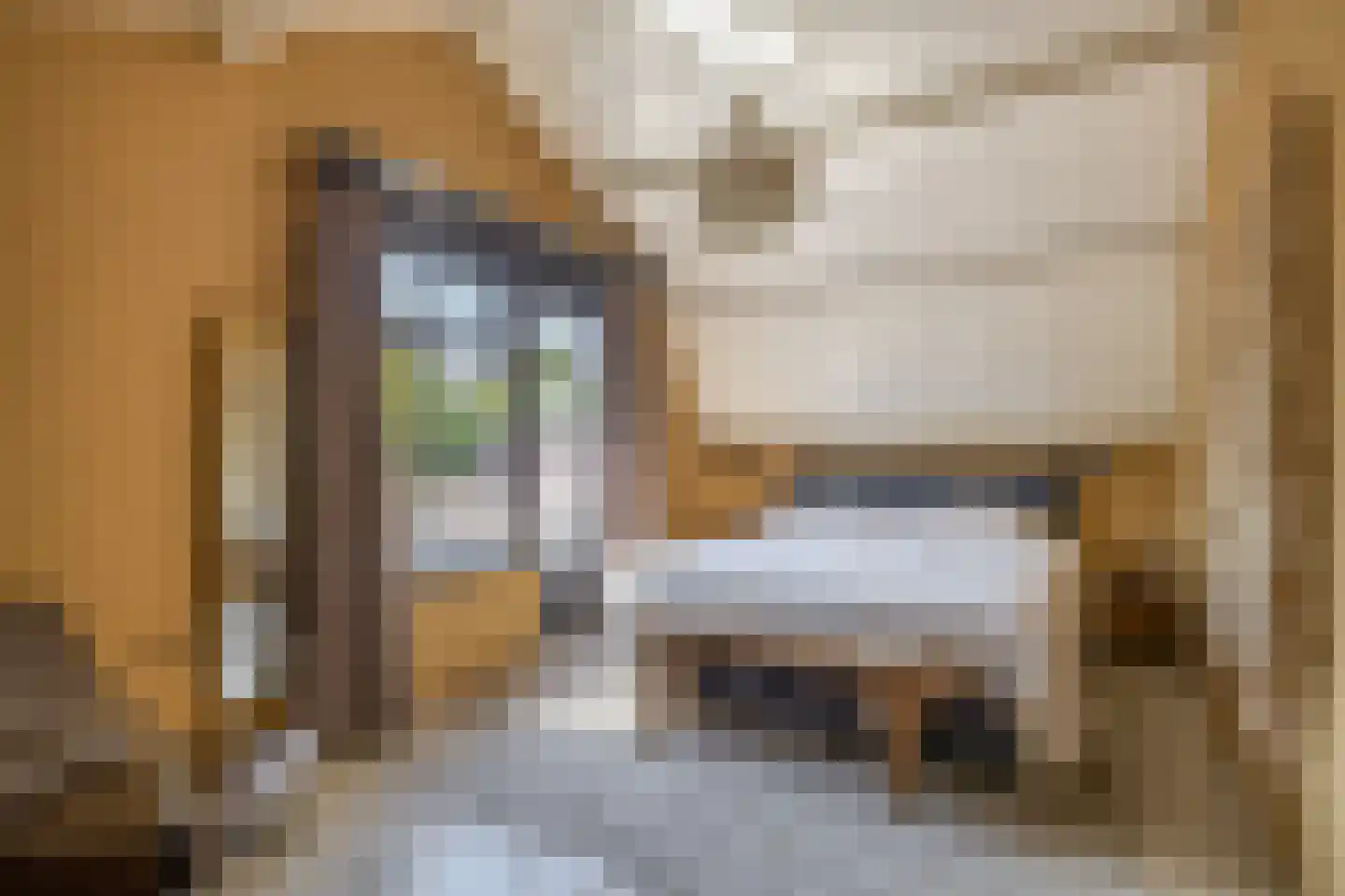 Stationsweg 31 Dirksland thumbnail 21