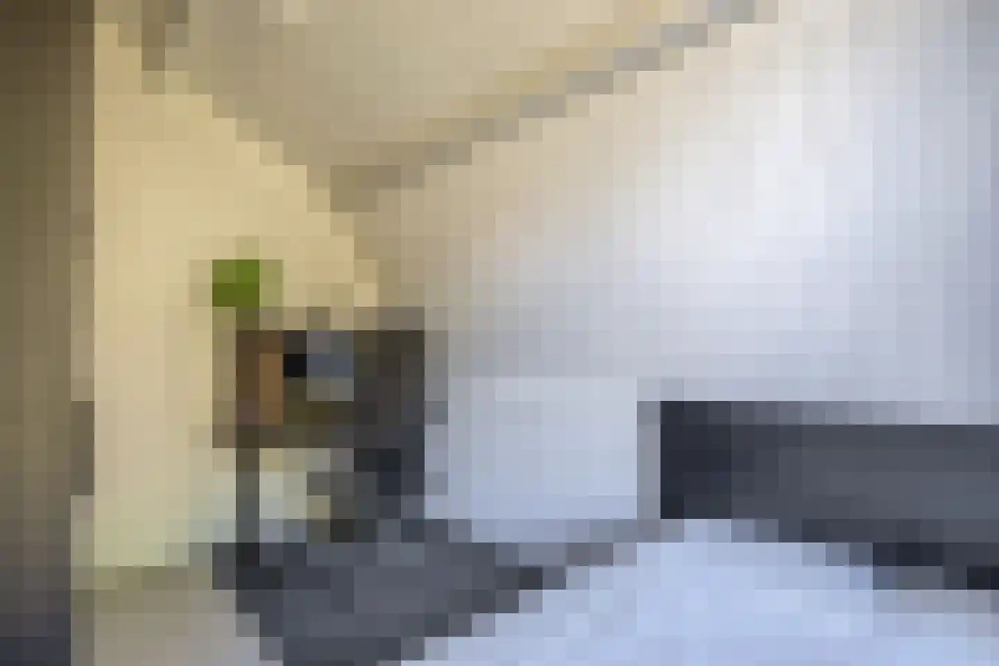 Stationsweg 31 Dirksland thumbnail 23