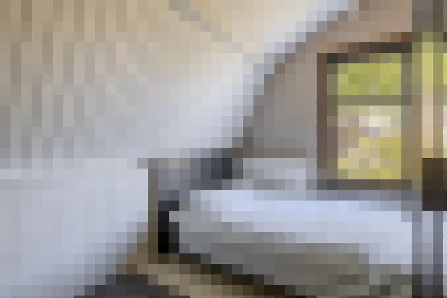 Stationsweg 31 Dirksland thumbnail 24