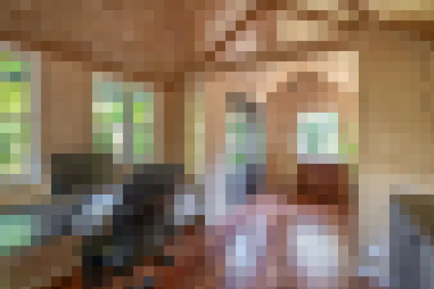 Stationsweg 31 Dirksland thumbnail 29