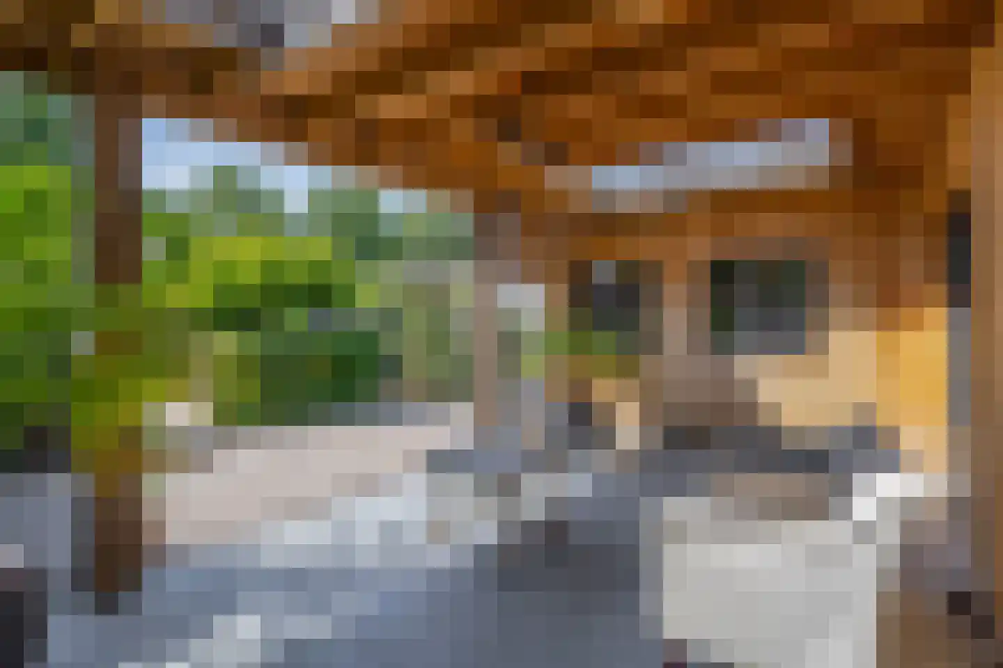 Stationsweg 31 Dirksland thumbnail 34