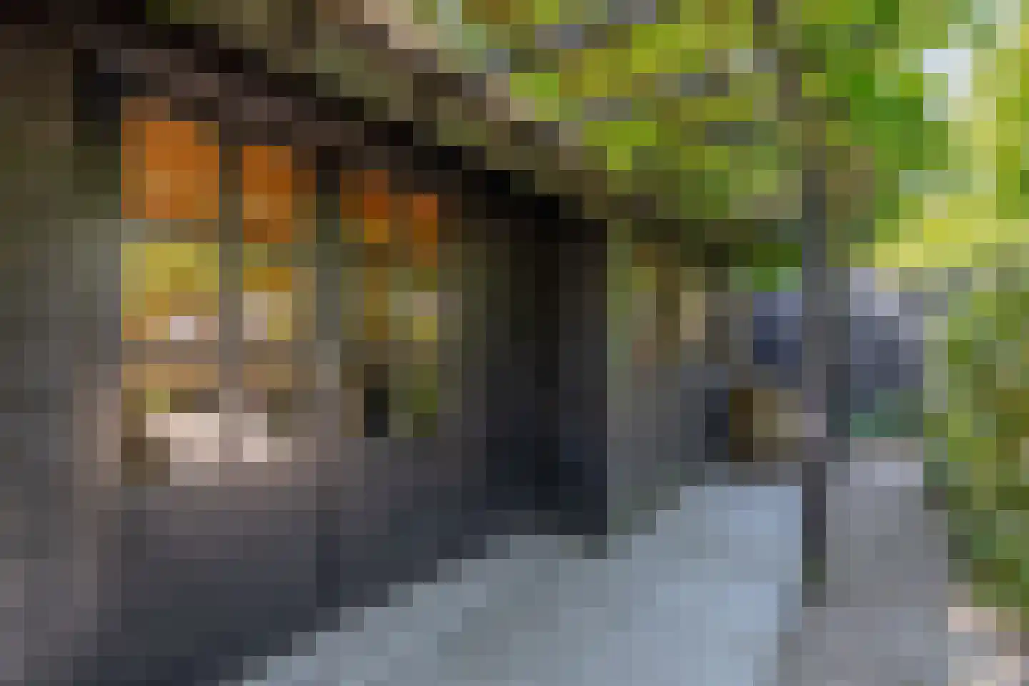 Stationsweg 31 Dirksland thumbnail 36