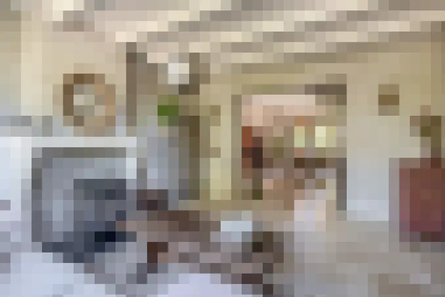 Stationsweg 31 Dirksland thumbnail 9