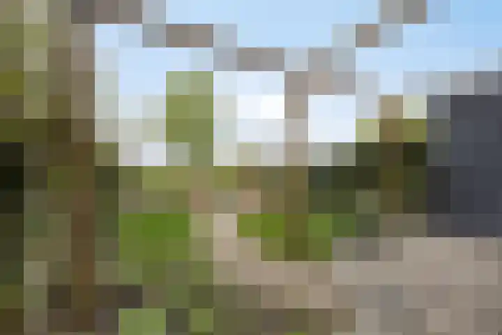 Stationsweg 31 Kwadijk thumbnail 25
