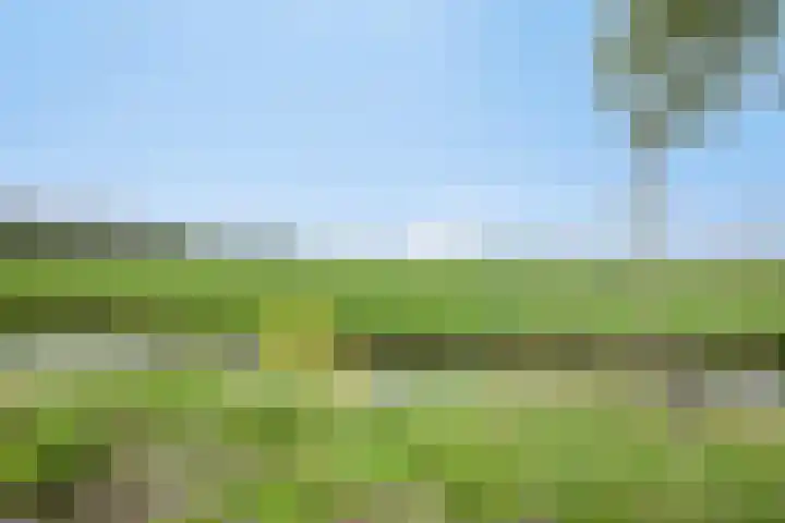 Stationsweg 31 Kwadijk thumbnail 30