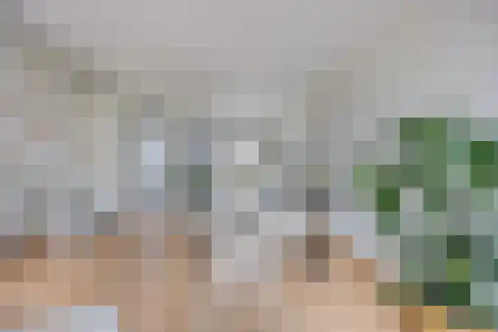Stationsweg 31 Kwadijk thumbnail 8