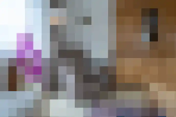 Stationsweg 31 Leerdam thumbnail 32