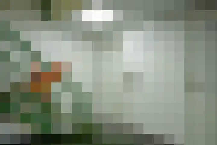 Stationsweg 31 Leerdam thumbnail 48