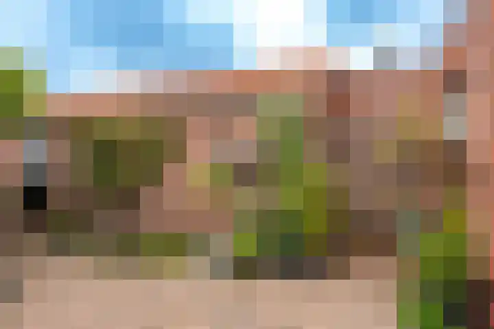 Stationsweg 31 Oldebroek thumbnail 28