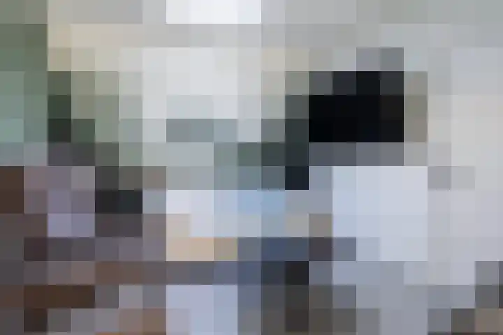 Stationsweg 33 Dokkum thumbnail 27