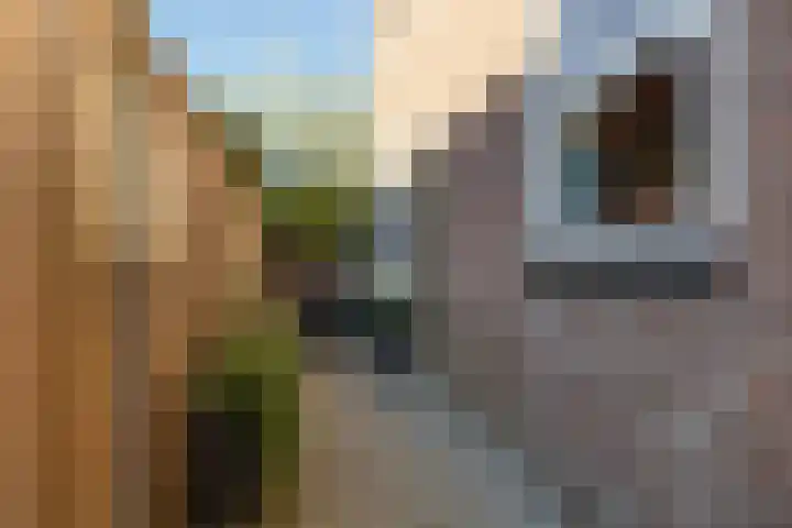Stationsweg 33 Dokkum thumbnail 39