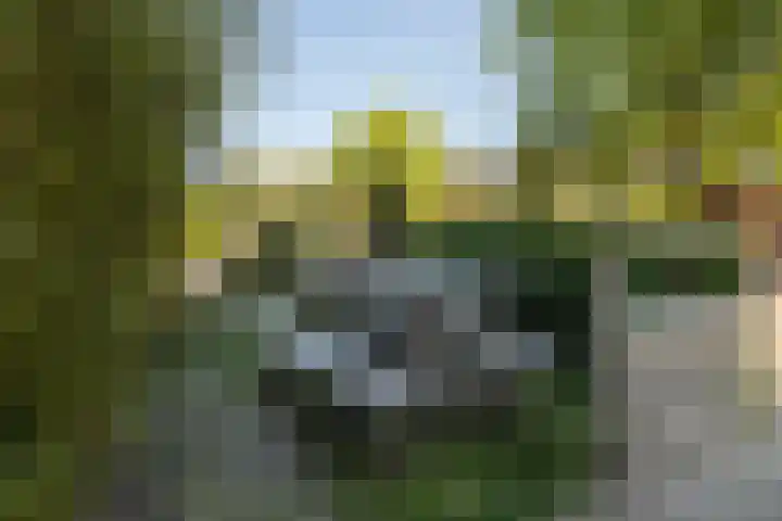 Stationsweg 33 Dokkum thumbnail 42
