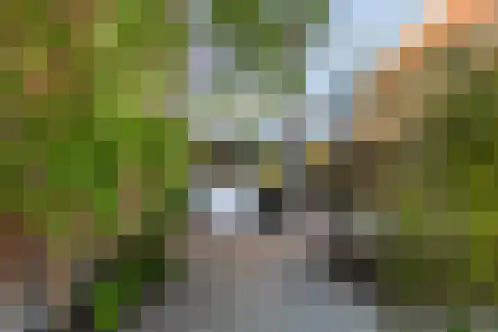 Stationsweg 33 Dokkum thumbnail 43