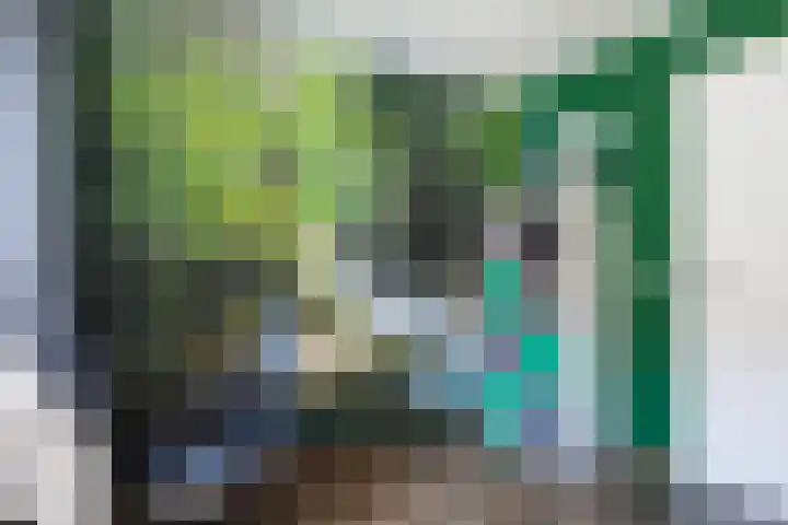Stationsweg 33 Dokkum thumbnail 59