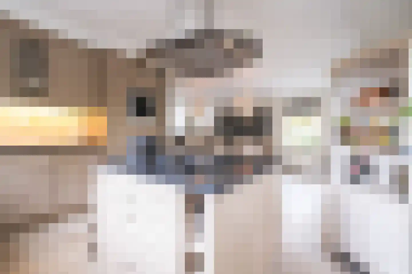 Stationsweg 33 Heerhugowaard thumbnail 15