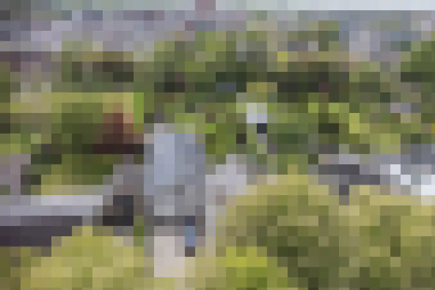 Stationsweg 33 Heerhugowaard thumbnail 4