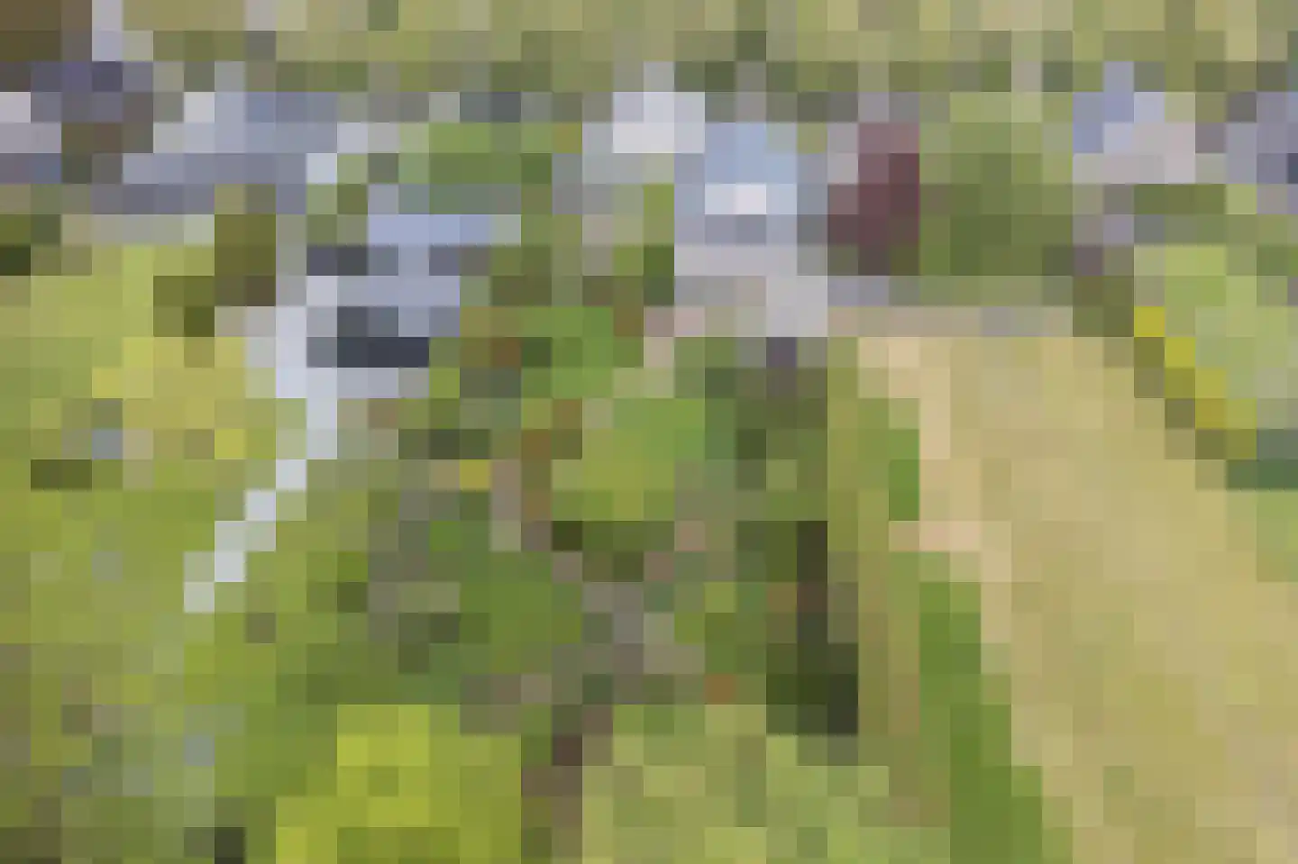 Stationsweg 33 Heerhugowaard thumbnail 40