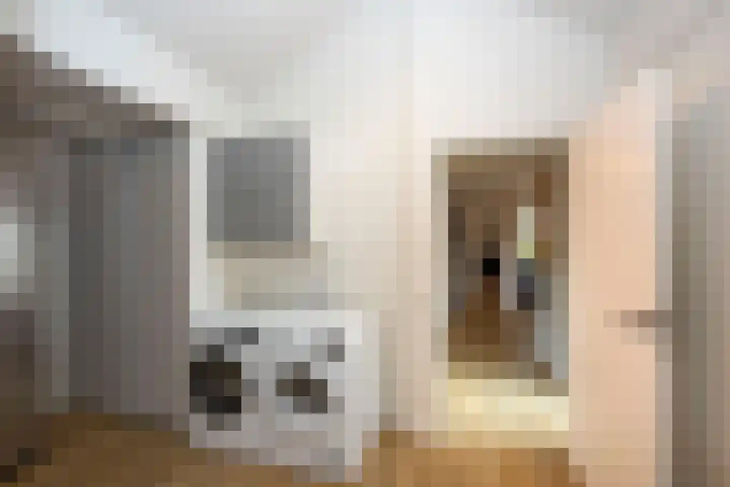 Stationsweg 34 Delden thumbnail 28