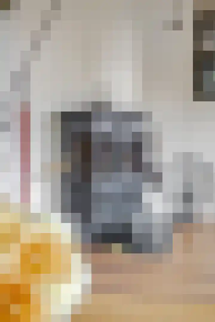 Stationsweg 34 Ede thumbnail 10