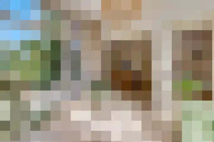Stationsweg 34 Ede thumbnail 12