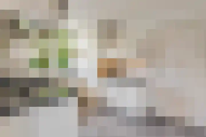 Stationsweg 34 Ede thumbnail 21