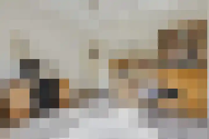 Stationsweg 34 Ede thumbnail 29