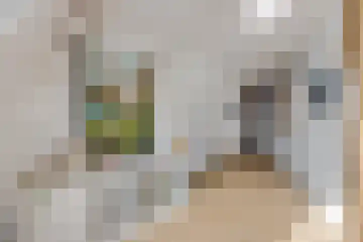 Stationsweg 34 Ede thumbnail 54