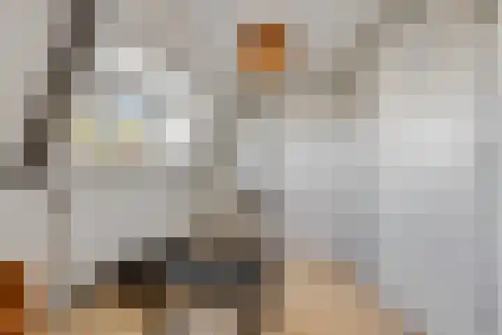 Stationsweg 34 Ede thumbnail 55