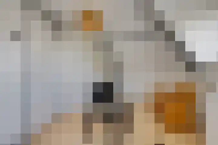 Stationsweg 34 Ede thumbnail 56