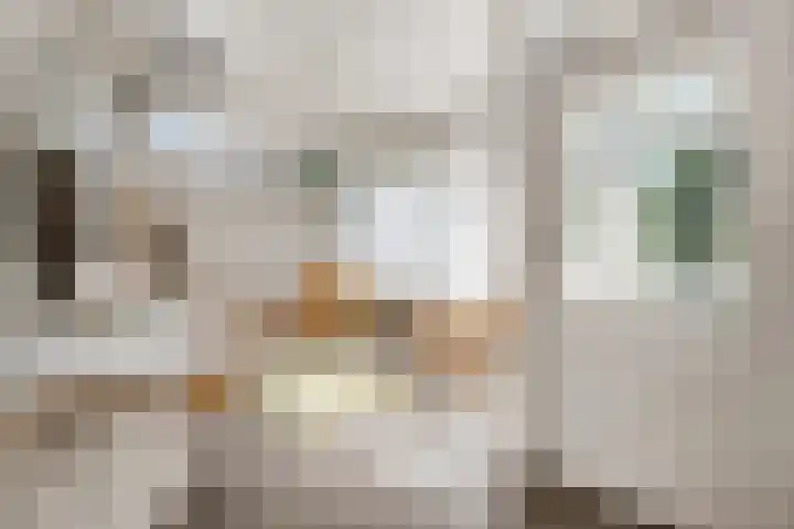 Stationsweg 34 Ede thumbnail 64