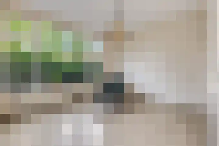 Stationsweg 34 Ede thumbnail 66