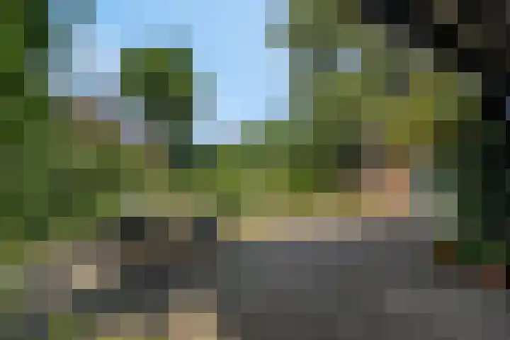 Stationsweg 34 Ede thumbnail 79