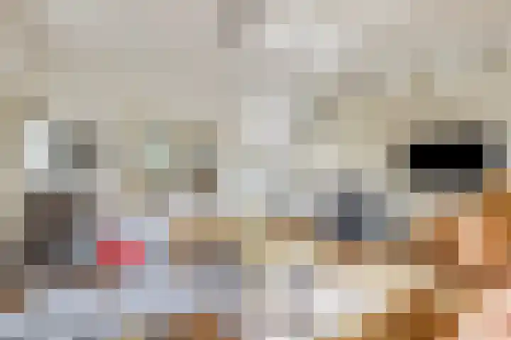 Stationsweg 34 Ede thumbnail 8