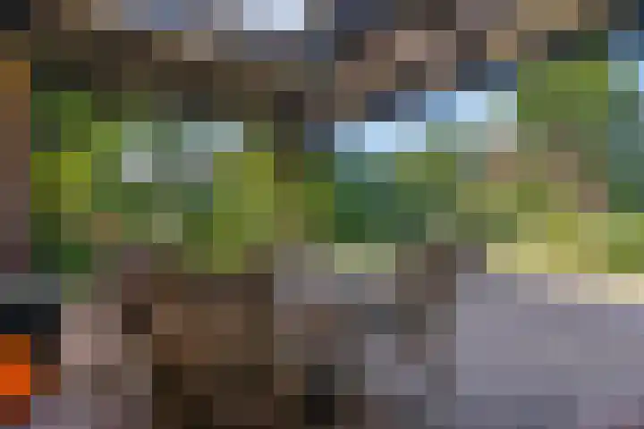 Stationsweg 34 Ede thumbnail 81