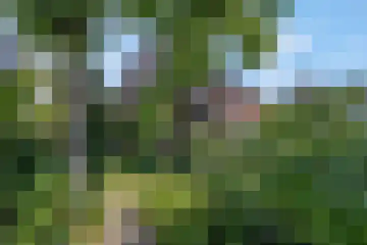 Stationsweg 34 Ede thumbnail 89