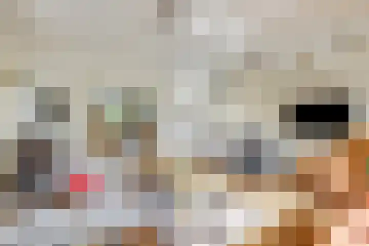 Stationsweg 34 Ede thumbnail 9