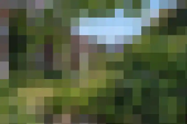 Stationsweg 34 Ede thumbnail 90