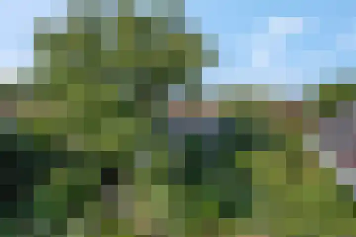 Stationsweg 34 Ede thumbnail 91