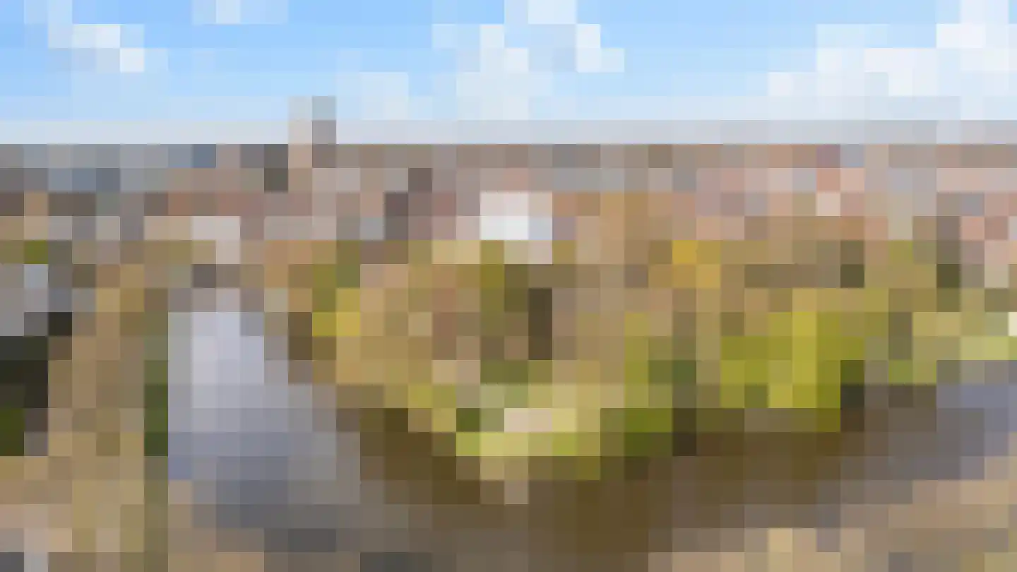 Stationsweg 34 Zwolle thumbnail 30