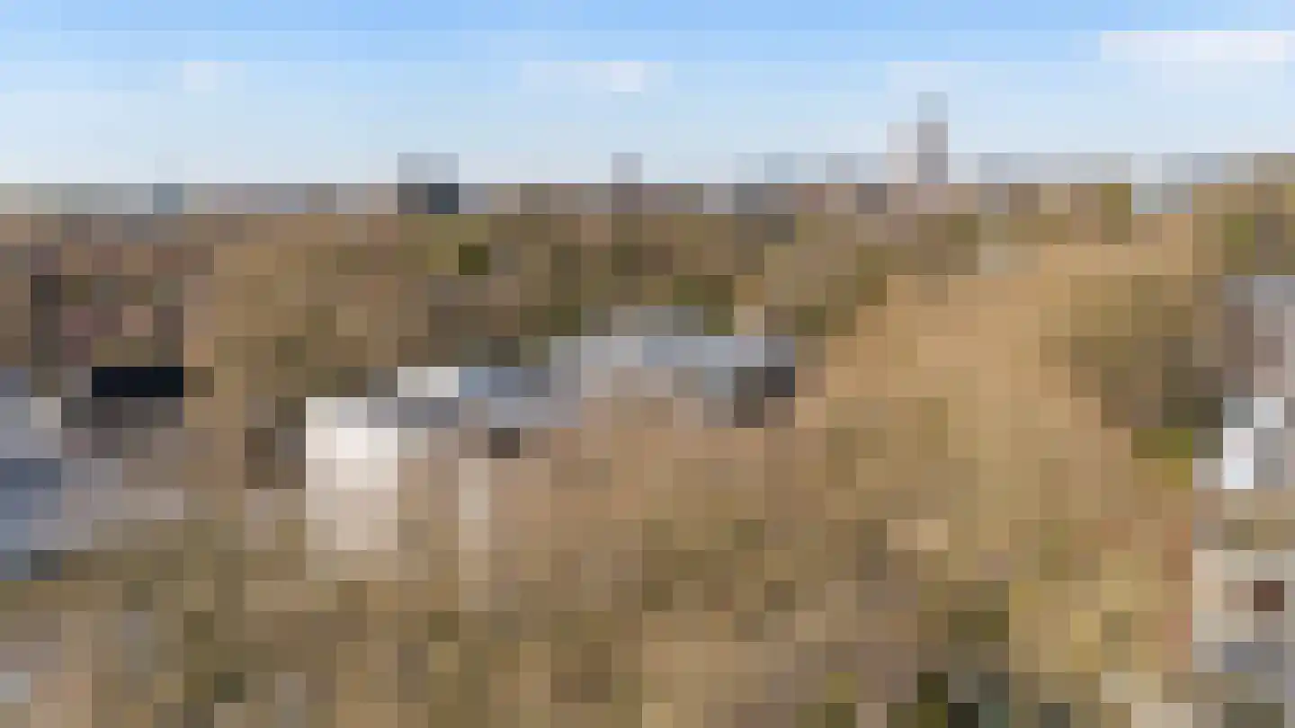 Stationsweg 34 Zwolle thumbnail 31