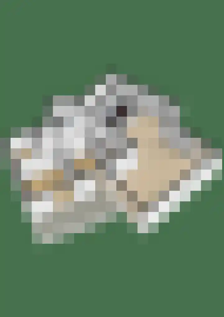 Stationsweg 35 e Grou thumbnail 34