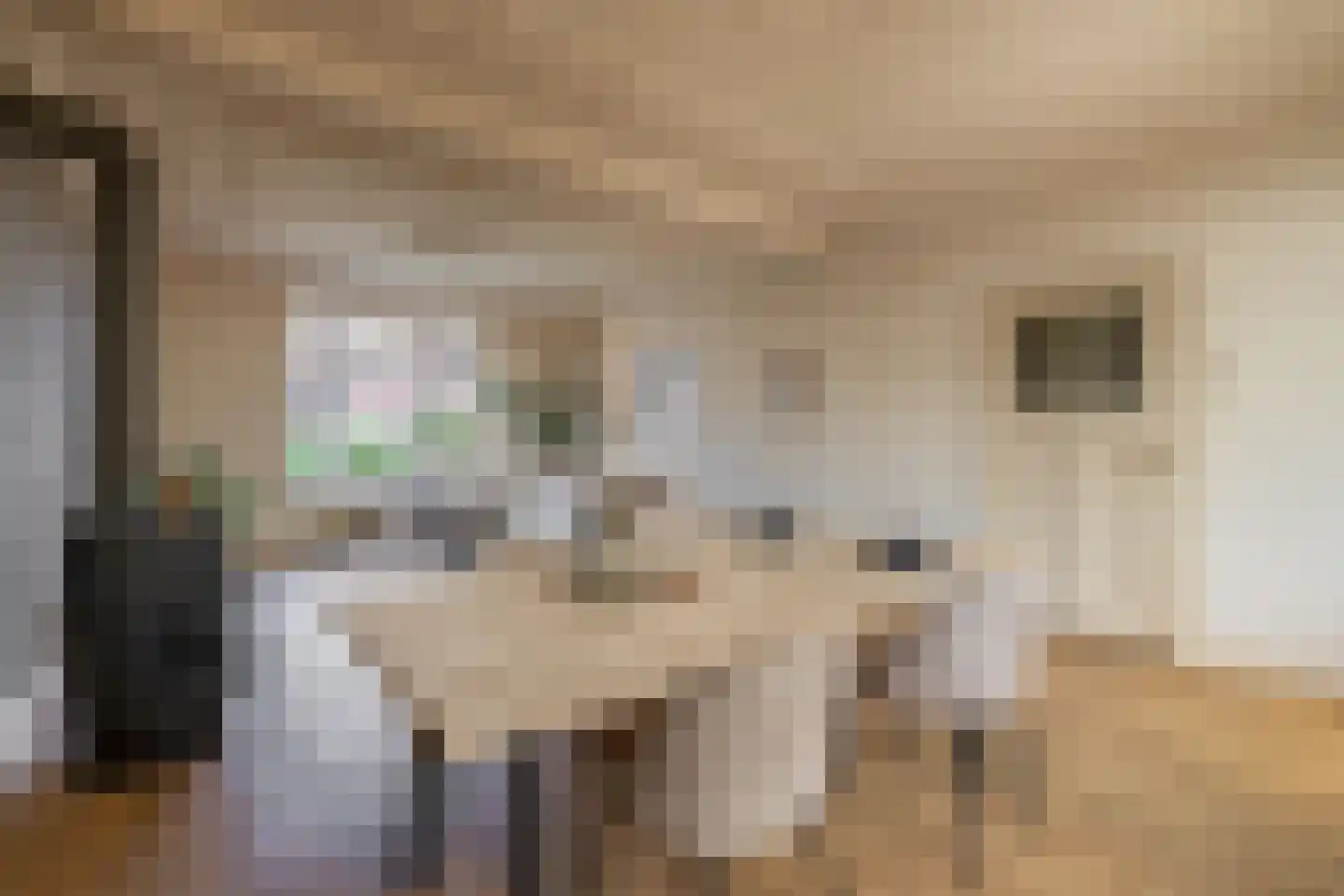 Stationsweg 36 Venray thumbnail 11