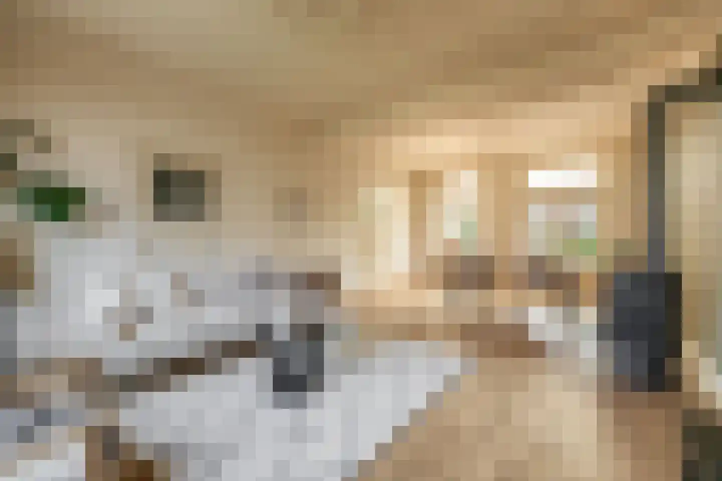 Stationsweg 36 Venray thumbnail 12