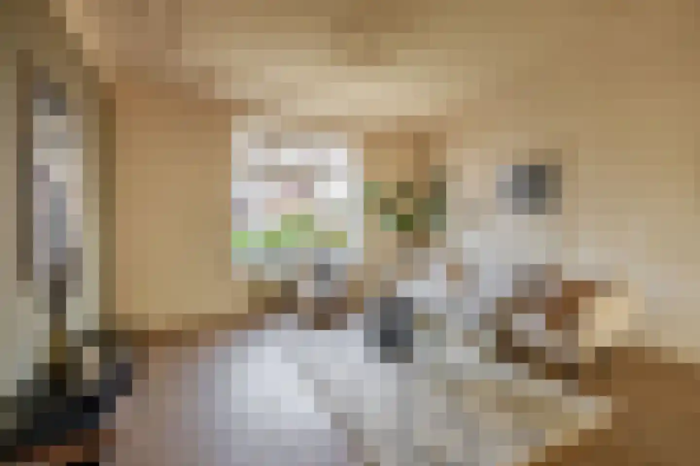 Stationsweg 36 Venray thumbnail 13